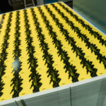 Cyberpunk TCG - Produktion der Karten in der Druckerei (Quelle: WeirdCo)
