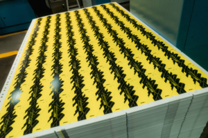 Cyberpunk TCG - Produktion der Karten in der Druckerei (Quelle: WeirdCo)